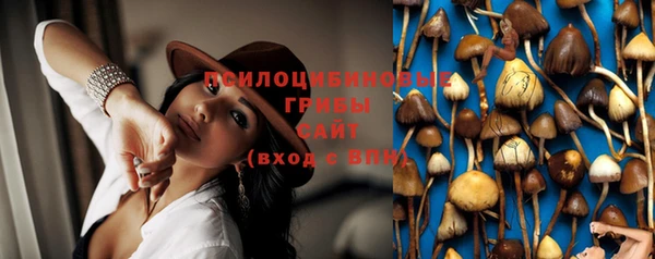 прущие грибы Балахна