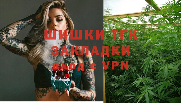 прущие грибы Балахна